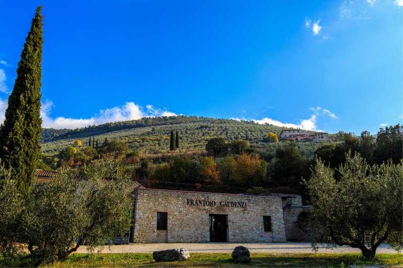Trevi: Guided tour and tasting at Frantoio Gaudenzi - Trevi: Guided tour and tasting at Frantoio Gaudenzi—A true taste of Umbrian olive oil