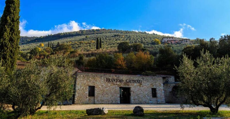 Trevi: Guided tour and tasting at Frantoio Gaudenzi - Key Points