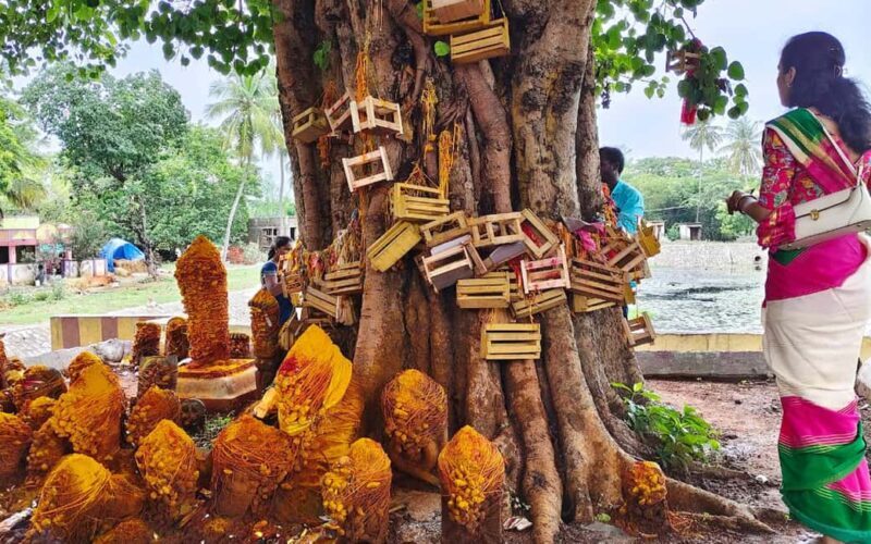 Trichy: Navagraha Temple Tour of Sun, Moon and Rahu - An In-Depth Look at the Navagraha Temple Tour