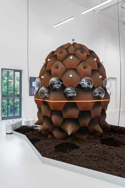 Triennale Milano: Guided Tour to the Exhibition We the Bacteria - Discovering the Microbial World at Triennale Milano: Guided Tour to “We the Bacteria”