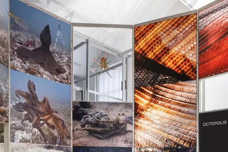 Triennale Milano: Guided visit  Living together: biodiversity and health - Key Points