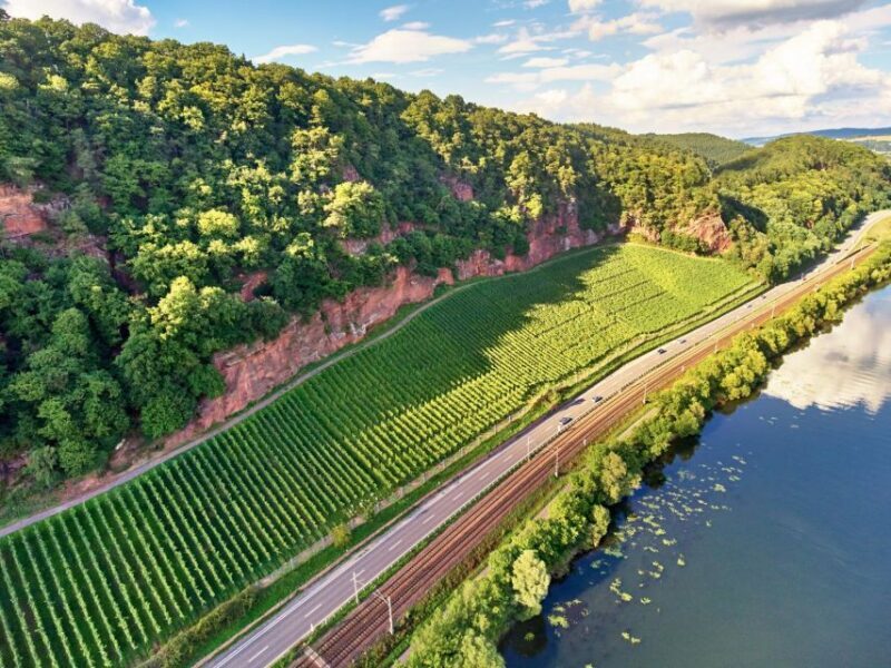 Trier: Discovery tour - Germany's oldest wine cellar - Exploring Triers Oldest Wine Cellar: An In-Depth Review