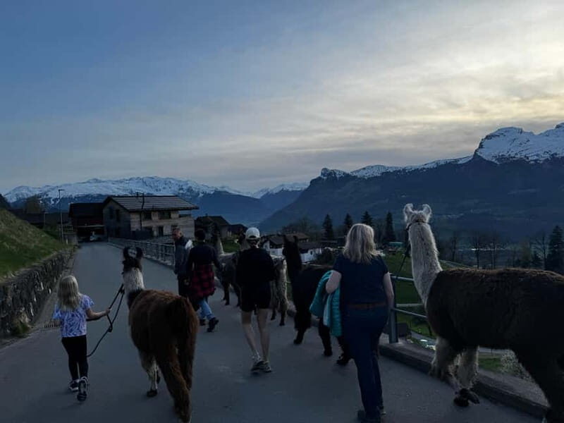 Triesenberg: Walk with Llamas in the Mountains - Key Points