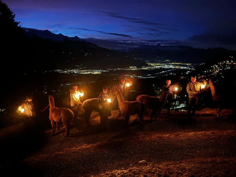 Triesenberg: Walking Tour with Llamas and Cheese Raclette - Discovering Triesenberg: A Walk with Llamas and Cheese