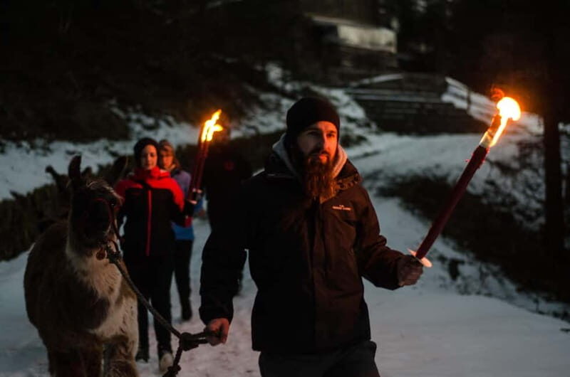 Triesenberg: Walking Tour with Llamas and Cheese Raclette - Analyzing the Value