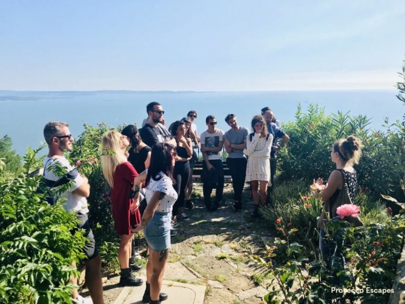 Trieste: 2.5-Hour Prosecco Origins Tour and Tastings - Trieste: 2.5-Hour Prosecco Origins Tour and Tastings — An Authentic Taste of Italy’s Sparkling Heritage