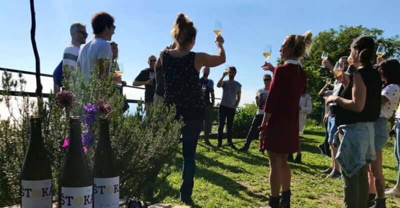 Trieste: 2.5-Hour Prosecco Origins Tour and Tastings - Trekking Through Historic Terraced Vineyards