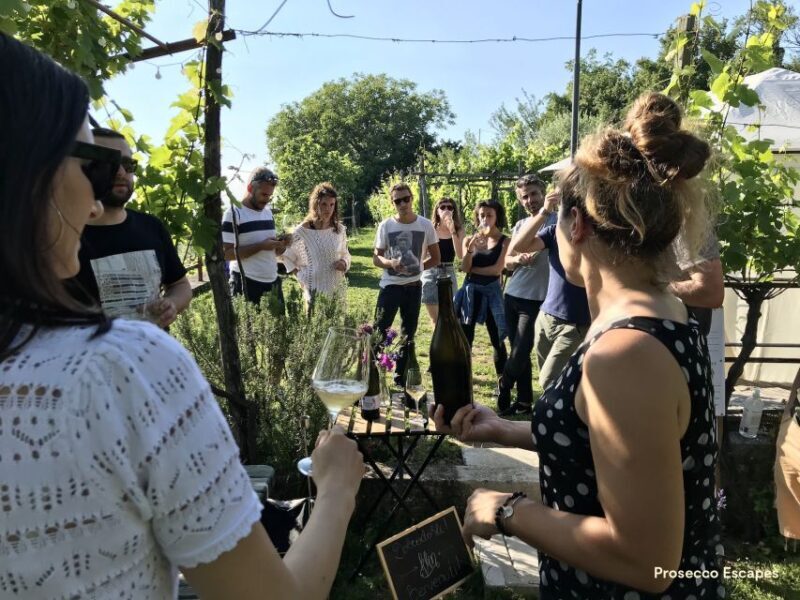 Trieste: 2.5-Hour Prosecco Origins Tour and Tastings - Tasting Regional Wines and Local Delicacies