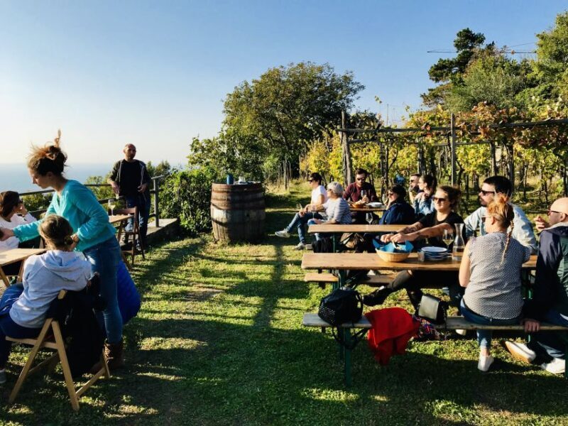 Trieste: 2.5-Hour Prosecco Origins Tour and Tastings - Practical Details & Value