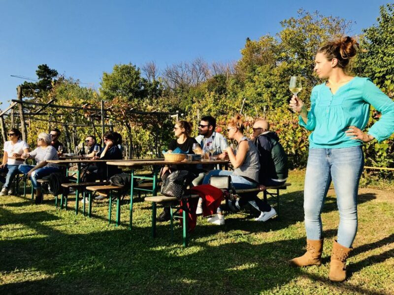 Trieste: 2.5-Hour Prosecco Origins Tour and Tastings - Final Thoughts