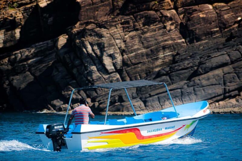 Trincomalee: All Inclusive Whale&Dolphin Watching Boat Tour - Key Points