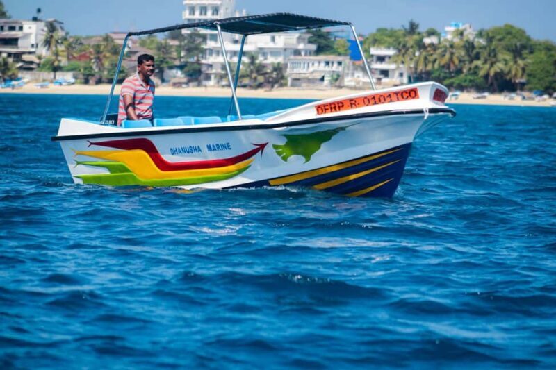 Trincomalee: All Inclusive Whale&Dolphin Watching Boat Tour - A Closer Look at the Whale & Dolphin Watching Tour