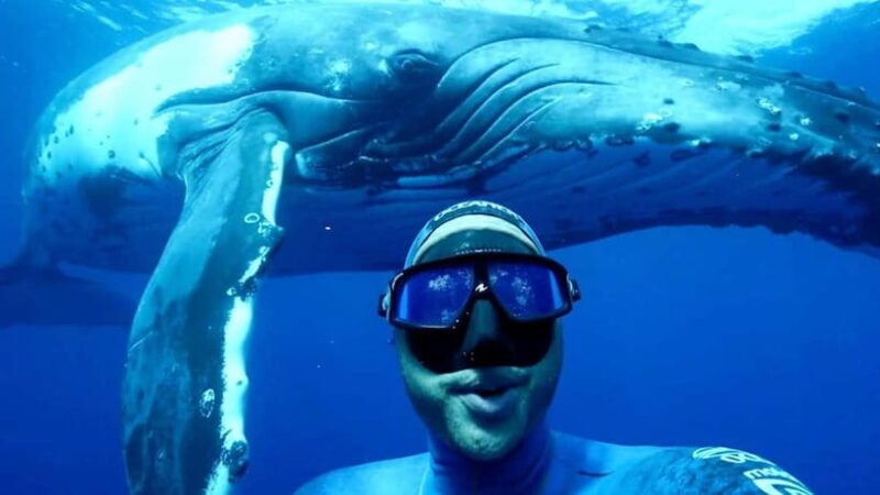 Trincomalee: Snorkeling Adventure with Whales - Exploring Trincomalee’s Whale Snorkeling Adventure