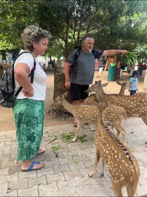 Trincomalee: Tuk-Tuk city tour with a guide - Pricing and Value