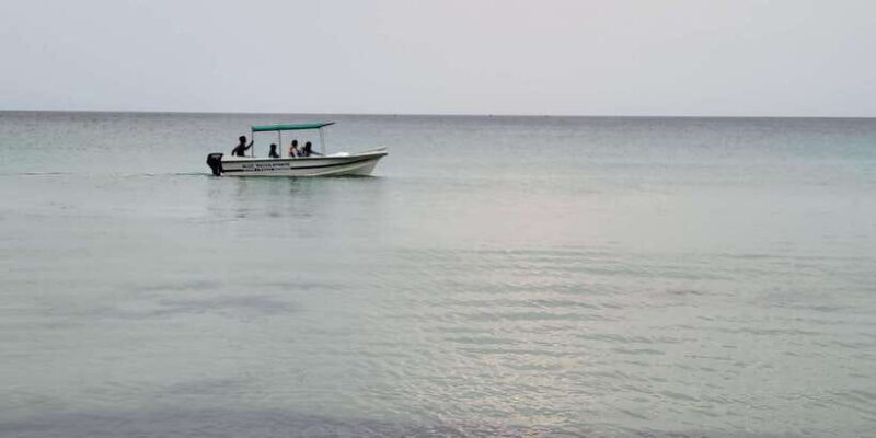 Trincomalee: Whales & Dolphin Watching Tours - Key Points