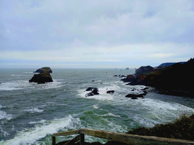 Trinidad: Elk Head Trail Guided Nature Walking Tour - Why This Tour Works Well