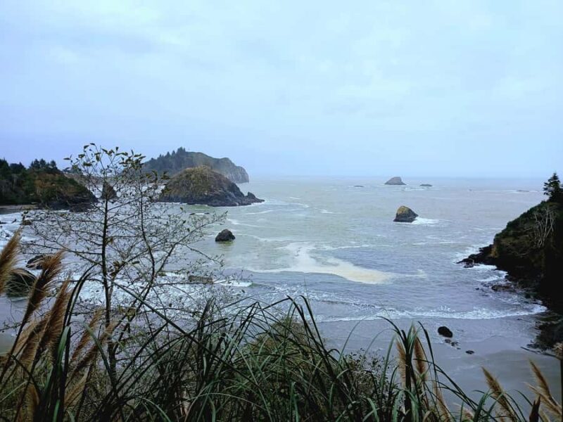 Trinidad: Elk Head Trail Guided Nature Walking Tour - Final Thoughts