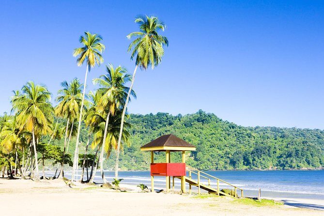 Trinidad Highlights and Scenic Drive Tour - Key Points
