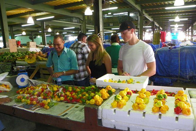 Trinidad Island Sightseeing Tour: Pitch Lake and Chaguanas - Final Stop: San Fernando Hill — Panoramic Views