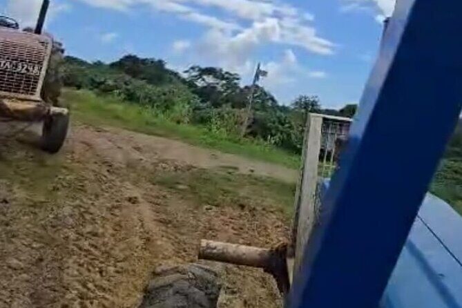 Trinidad Mud volcano Mud bath - Who Should Consider This Tour?