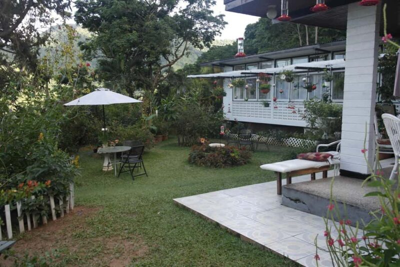 Trinidad: The Humming Bird Experience - The Experience — Pros and Cons