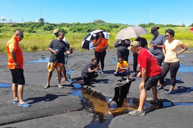 Trinidad Treasures Pitch Lake Temple and Scarlet Ibis - Key Points