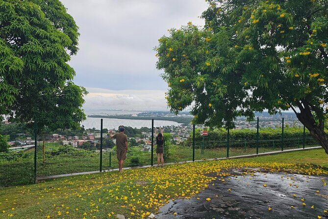 Trinidad Treasures Pitch Lake Temple and Scarlet Ibis - Exploring Trinidad’s Treasures in Depth