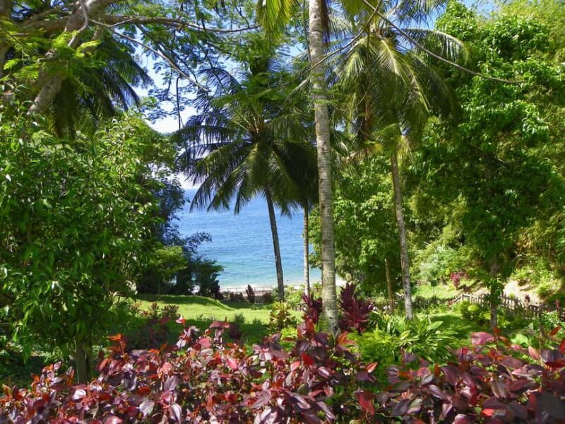 Trinidad: Zip Lining Experience & Fort George Panoramic View - Frequently Asked Questions