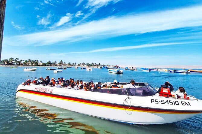 Trip and Tour to Paracas, Huacachina and Winegrowers - Visit to a Winery: Pisco Route