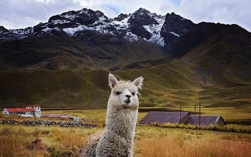 TRIP FROM PUNO TO CUSCO WITH THE ROUTE OF THE SUN - Exploring the Itinerary in Detail
