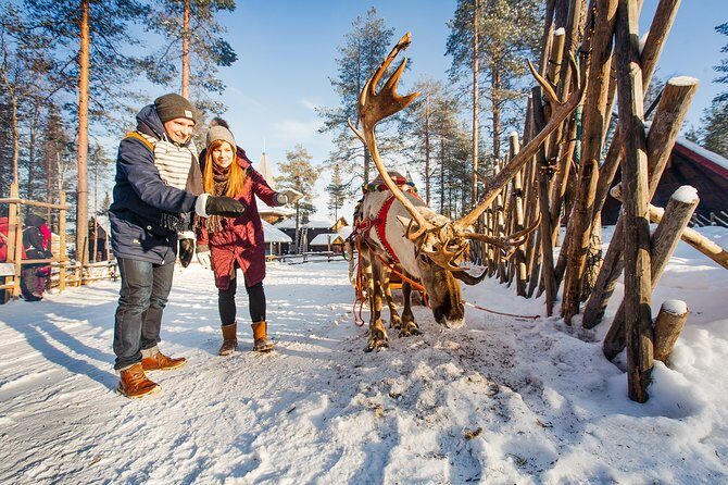 Trip to Arctic Circle, Santa Claus Village and Santas Reindeer - Who Will Love This Tour?
