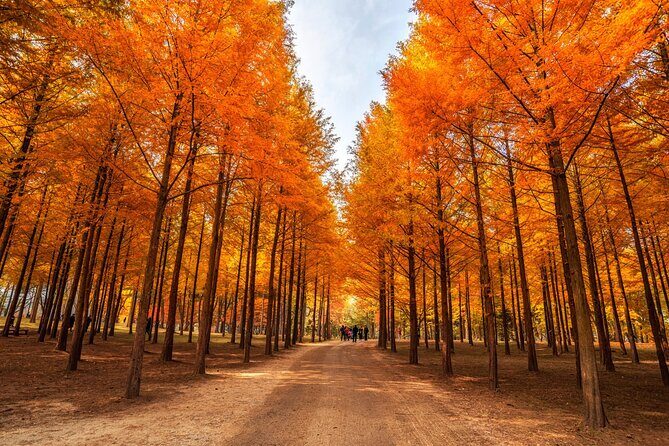 Trip to Nami Island with Petite France & Italian Village, Garden of Morning Calm - Petite France: A Playful French Village