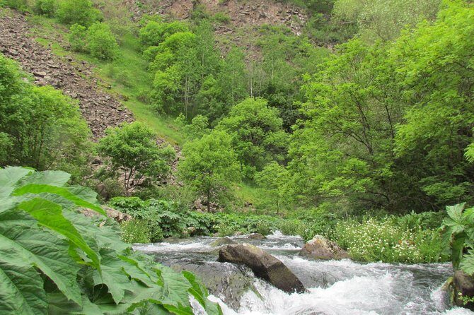 Trip to The Diamond Bridge and Dashbashi Canyon - FAQs