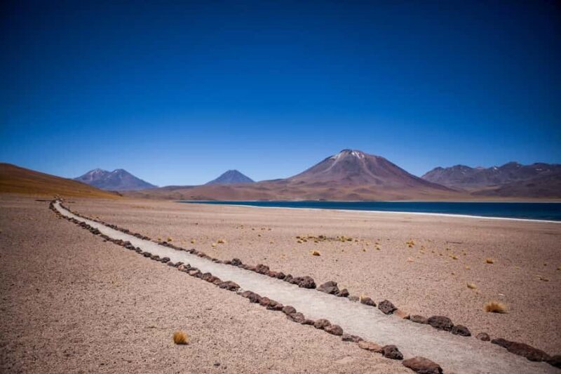 Triple Tour: Piedras Rojas + Altiplanic Lagoons + Chaxa Lagoon - A Full-Day Adventure into the Atacama’s Unique Landscape