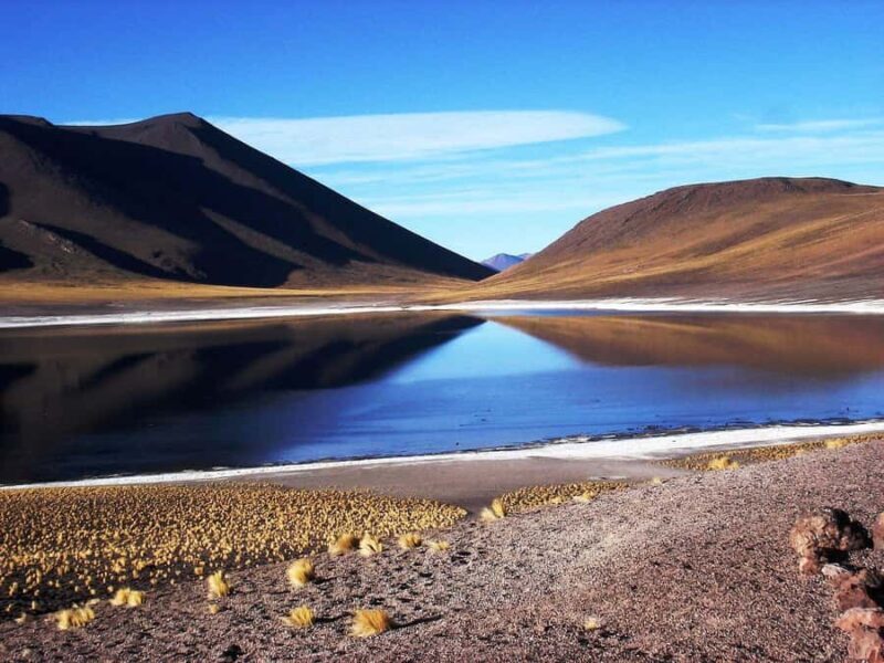 Triple Tour: Piedras Rojas + Altiplanic Lagoons + Chaxa Lagoon - What Makes This Tour Stand Out?