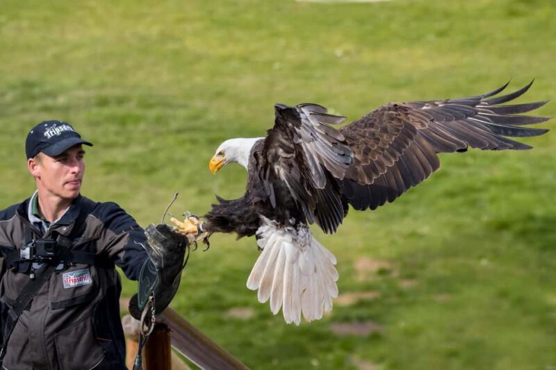 Tripsdrill Wildlife Park: Admission Ticket - Key Points