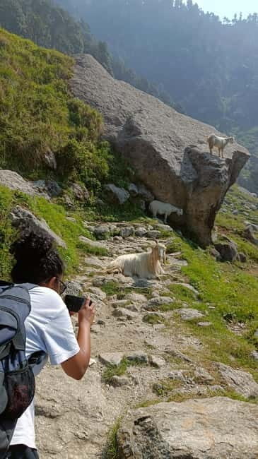 Triund Day hike | Alt 2870 Mtr - Why You Should Consider This Trek
