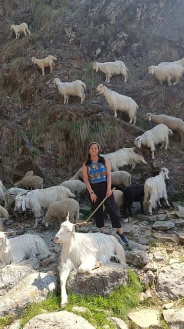 Triund Day hike | Alt 2870 Mtr - FAQs