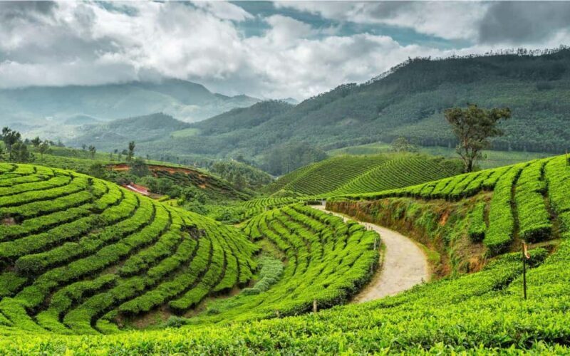 Trivandrum Hills, Villages, History & Waterfalls Guided Tour - What to Pack and What to Expect