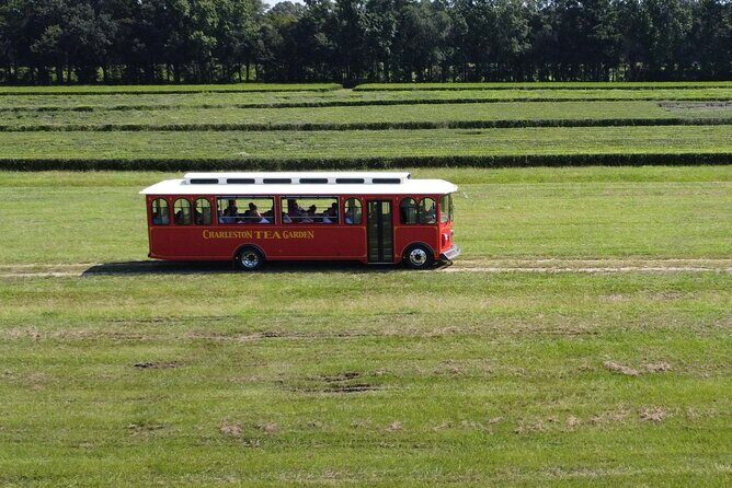Trolley Tour in Wadmalaw Island of South Carolina - Frequently Asked Questions
