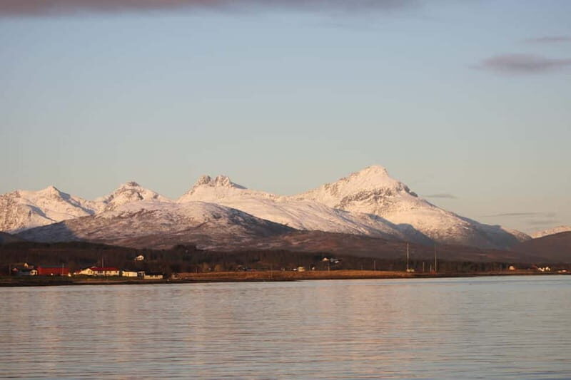 Tromsø: 2-Hour Island Tour Cruise with Snacks and Drinks - A Closer Look at the Cruise Experience
