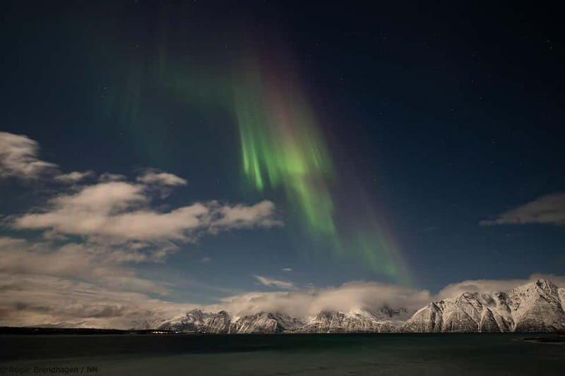 Tromsø: 24hr Northern Lights & Whale Watching Cruise - The Sum Up