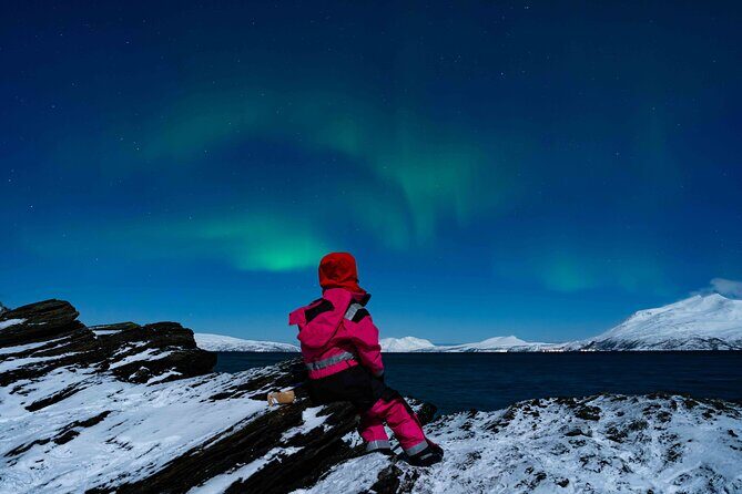 Tromsø- 3 days experience - A Detailed Look at the Tromsø 3-Day Tour Experience
