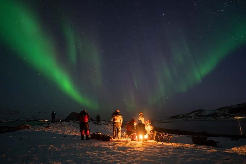 Tromsø: Adult Only Aurora hunt with Citizen Science - An In-Depth Look at the Tromsø Aurora Hunt