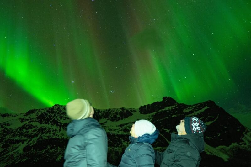 Tromsø Adventurous Northern Lights Small-Group - A Deep Dive into the Experience