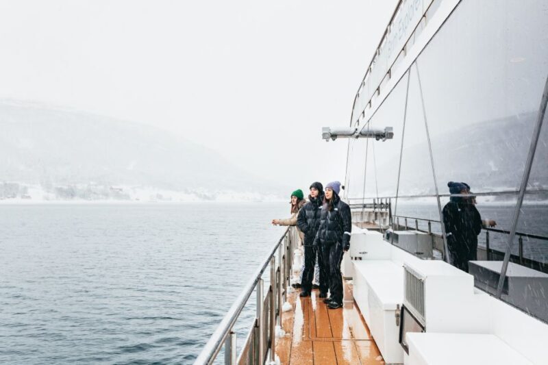 Tromsø: Arctic Fjord Cruise With Stop On Land At Fish Racks - Who Will Appreciate This Tour?
