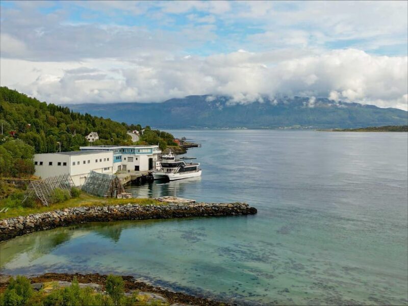 Tromsø: Arctic Fjord Cruise With Stop On Land At Fish Racks - Final Summary