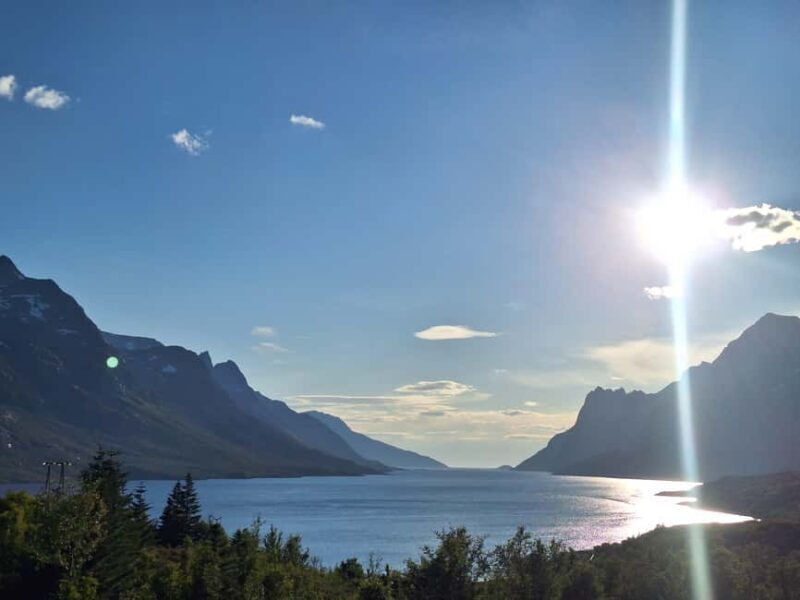 Tromso: Arctic Fjord & Nature Tour - Tromso: Arctic Fjord & Nature Tour