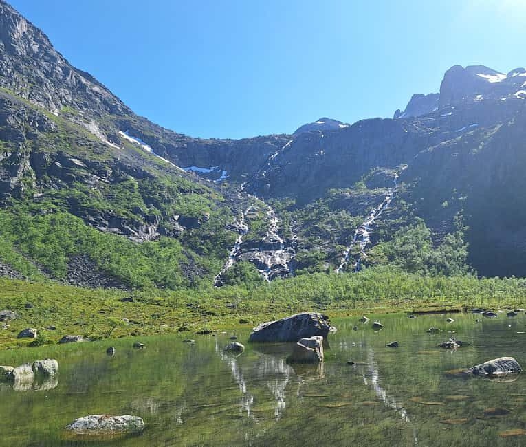 Tromso: Arctic Fjord & Nature Tour - Key Points