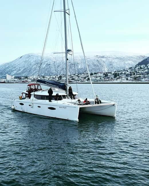 Tromsø: Arctic Fjord Sightseeing Cruise in Luxury Catamaran - Key Points